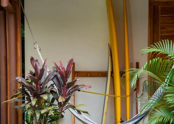 Ave Del Paraiso Bed & Breakfast