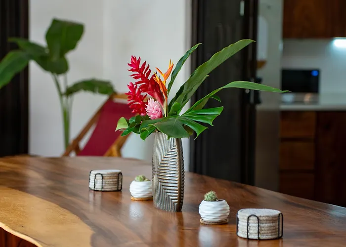 Bed & Breakfast Ave Del Paraiso *