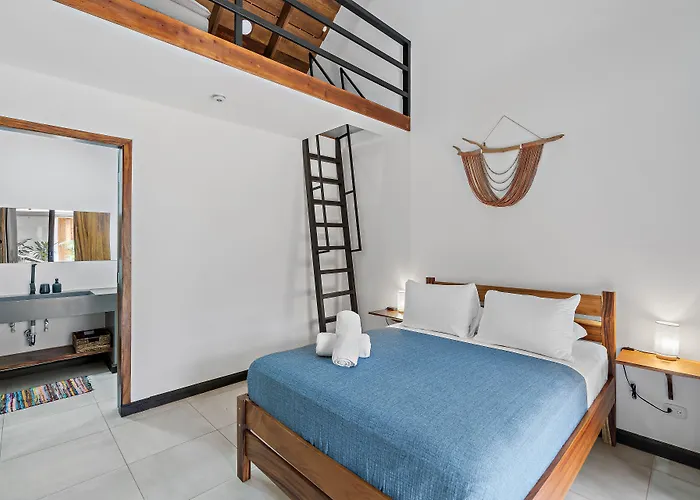 Bed and breakfast Ave Del Paraíso
